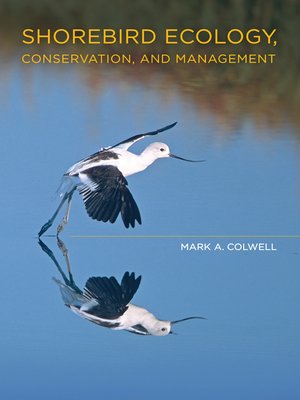 cover image of Shorebird Ecology, Conservation, and Management